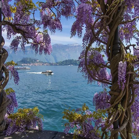 Διαμέρισμα Il Panorama Di Forster *